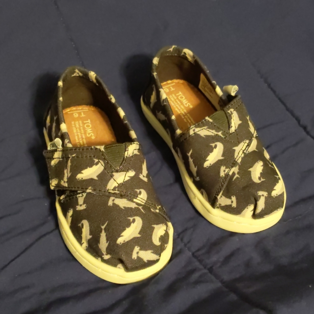 Toddler shark Toms